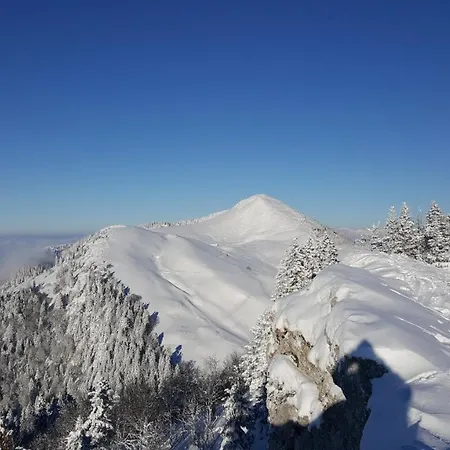 Guest house Chalet Koch Saint-Pierre-de-Chartreuse