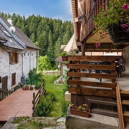 Guest house Chalet Koch